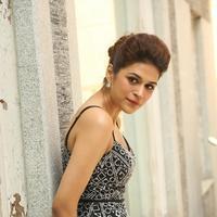 Shraddha Das New Gallery | Picture 1257283