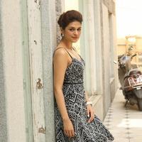 Shraddha Das New Gallery | Picture 1257288