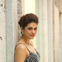 Shraddha Das New Gallery | Picture 1257289