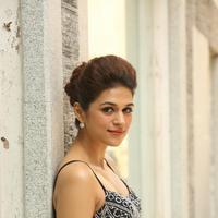 Shraddha Das New Gallery | Picture 1257290