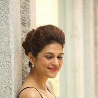 Shraddha Das New Gallery | Picture 1257291