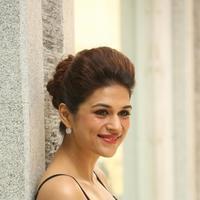 Shraddha Das New Gallery | Picture 1257292