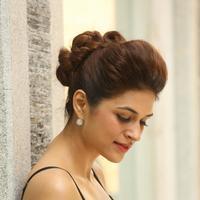 Shraddha Das New Gallery | Picture 1257293