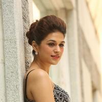 Shraddha Das New Gallery | Picture 1257302