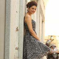 Shraddha Das New Gallery | Picture 1257304