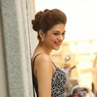 Shraddha Das New Gallery | Picture 1257307