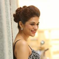 Shraddha Das New Gallery | Picture 1257308