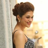 Shraddha Das New Gallery | Picture 1257309