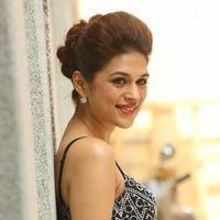 Shraddha Das New Gallery | Picture 1257310