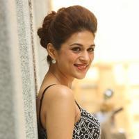 Shraddha Das New Gallery | Picture 1257312