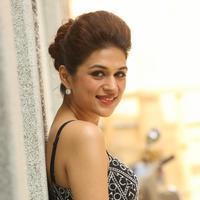 Shraddha Das New Gallery | Picture 1257314