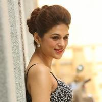 Shraddha Das New Gallery | Picture 1257317