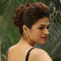 Shraddha Das New Gallery | Picture 1257328