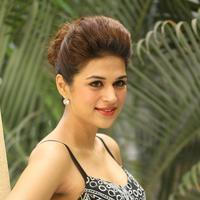 Shraddha Das New Gallery | Picture 1257330