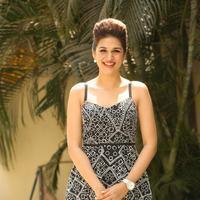 Shraddha Das New Gallery | Picture 1257337