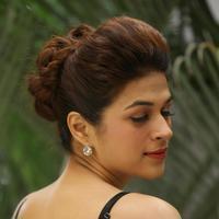 Shraddha Das New Gallery | Picture 1257341