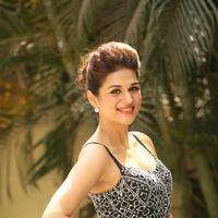 Shraddha Das New Gallery | Picture 1257345