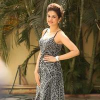 Shraddha Das New Gallery | Picture 1257348