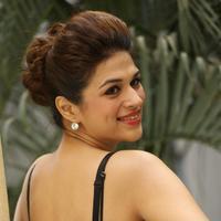 Shraddha Das New Gallery | Picture 1257349