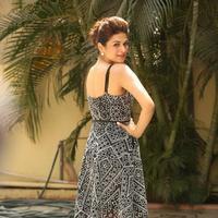 Shraddha Das New Gallery | Picture 1257354