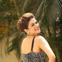 Shraddha Das New Gallery | Picture 1257358