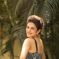 Shraddha Das New Gallery | Picture 1257360