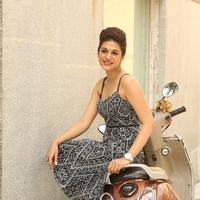 Shraddha Das New Gallery | Picture 1257378