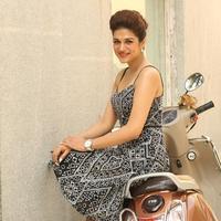 Shraddha Das New Gallery | Picture 1257393