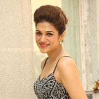 Shraddha Das New Gallery | Picture 1257394