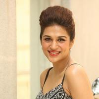 Shraddha Das New Gallery | Picture 1257402