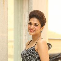 Shraddha Das New Gallery | Picture 1257406