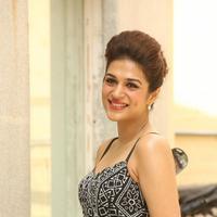 Shraddha Das New Gallery | Picture 1257408