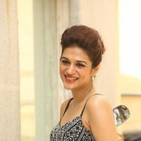 Shraddha Das New Gallery | Picture 1257409