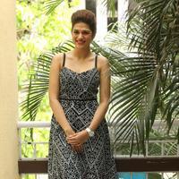 Shraddha Das New Gallery | Picture 1257437