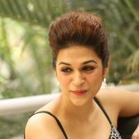 Shraddha Das New Gallery | Picture 1257463