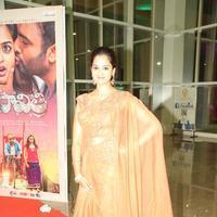 Nanditha at Savithri Movie Audio Launch Stills | Picture 1259516