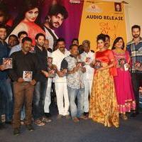 Vaadu Veedu O Kalpana Movie Audio Launch Stills | Picture 1264965