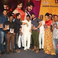 Vaadu Veedu O Kalpana Movie Audio Launch Stills | Picture 1264977
