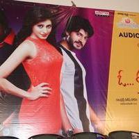 Vaadu Veedu O Kalpana Movie Audio Launch Stills | Picture 1265015