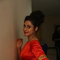 Iraa at Vaadu Veedu O Kalpana Movie Audio Launch Photos | Picture 1265146