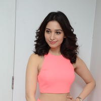 Tamanna Bhatia Cute Gallery | Picture 1268469