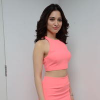 Tamanna Bhatia Cute Gallery | Picture 1268493