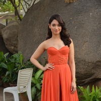 Tamanna Bhatia Cute Gallery | Picture 1269006