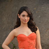 Tamanna Bhatia Cute Gallery | Picture 1269008