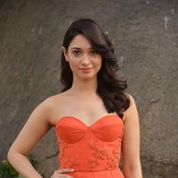Tamanna Bhatia Cute Gallery | Picture 1269013