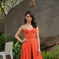 Tamanna Bhatia Cute Gallery | Picture 1269014
