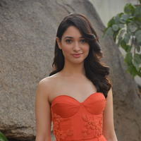 Tamanna Bhatia Cute Gallery | Picture 1269016