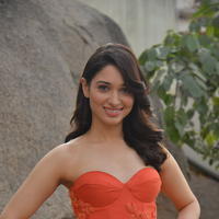 Tamanna Bhatia Cute Gallery | Picture 1269025
