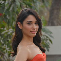 Tamanna Bhatia Cute Gallery | Picture 1269026