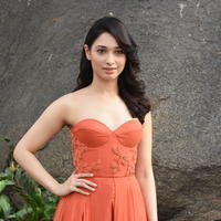 Tamanna Bhatia Cute Gallery | Picture 1269029